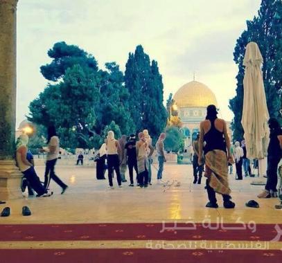 المسجد الأقصى 