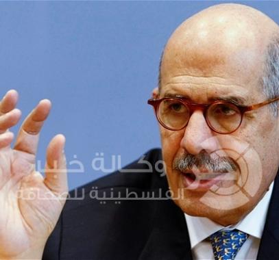 محمد البرادعي 