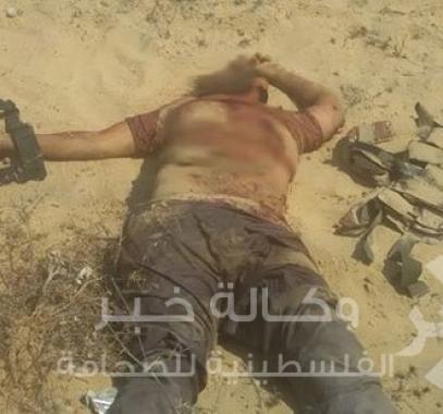  سليم سليمان الهرم