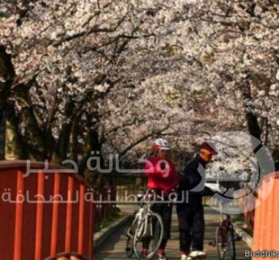 العيش في أكثر المدن أمنا في العالم