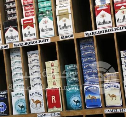 Camel cigarette