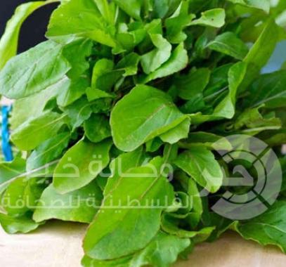 جرجير
