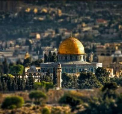 تونس تحتضن  احتفالاً بمناسبة اختيار 