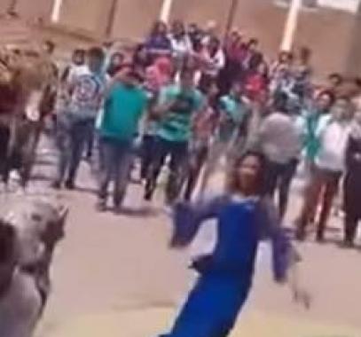 بالفيديو والصور: جامعة السادات تستضيف 