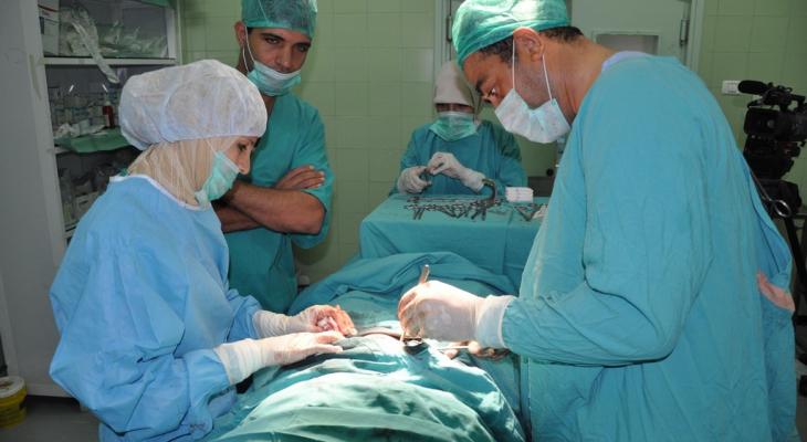 بالصور: إجراء سلسلة من العمليات النوعية في جراحة الأعصاب بغزة