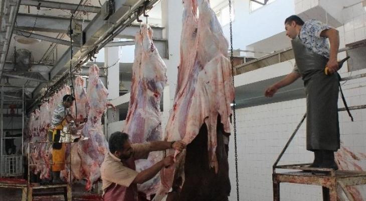تنفيذ (900) كشفٍ صحيٍ على محلات الجزارة بغزة