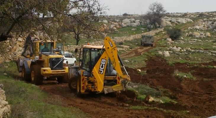 اقتلاع 60 شجرة زيتون من أراضي قرية جبع شرق القدس