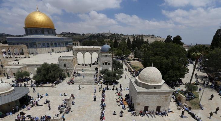 5593d282c46188b8388b458d