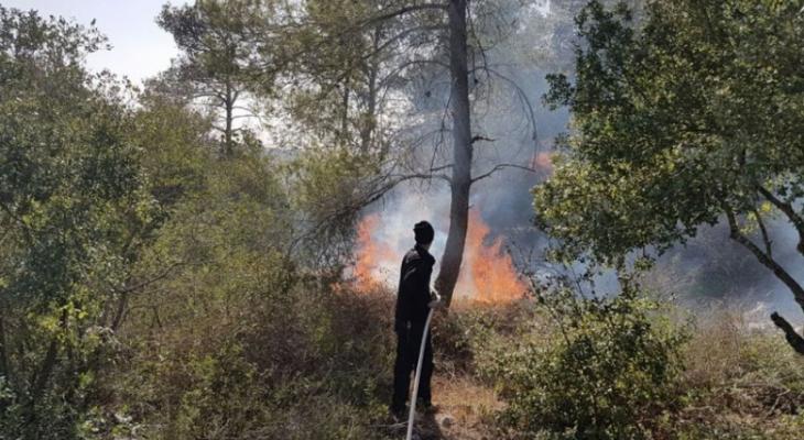 الشاباك الإسرائيلي يستجوب 3شبان بتهمة بحرق حشائش في سلفيت