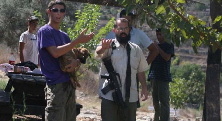 مستوطنون يقيمون بيوتاً خشبية على جبل جويحان شرق الخليل