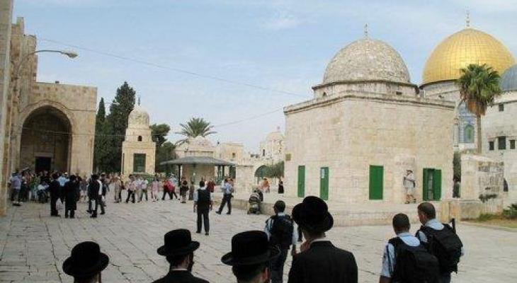 قناة عبرية: اليوم يسجل أعلى رقم قياسي في أعداد المستوطنين المقتحمين للمسجد الأقصى 