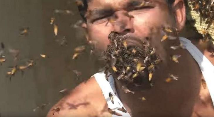 شاهدوا بالفيديو: رجل "يأكل" آلاف "النحلات" حية!