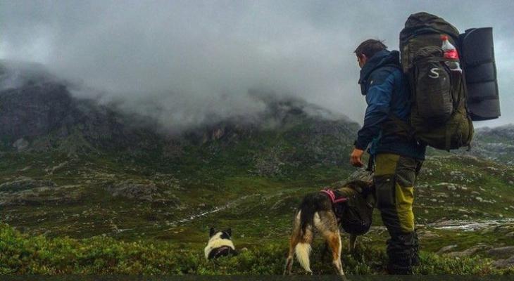 بالفيديو: نرويجي هجر المدينة ليؤسس حياة جديدة مع 100 كلب!
