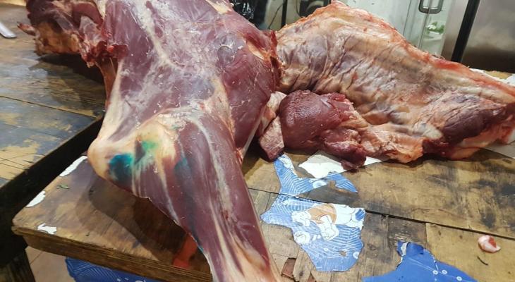 إتلاف حوالي نصف طن من اللحوم الفاسدة في غزّة