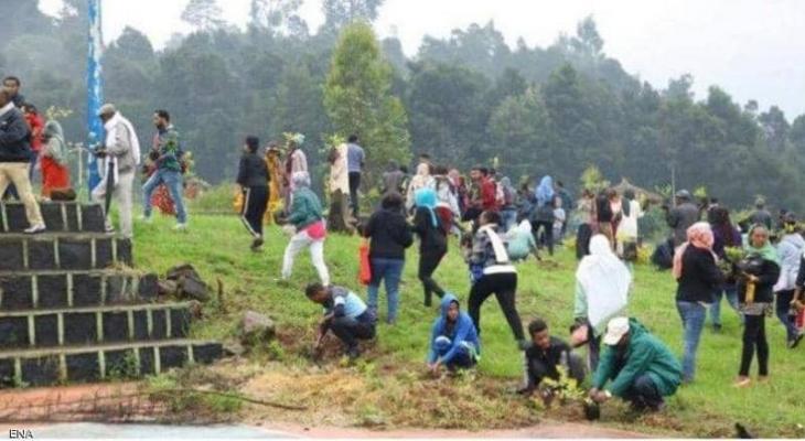  "إثيوبيا" تزرع 224 مليون شجرة في يوم واحد 8FeBa