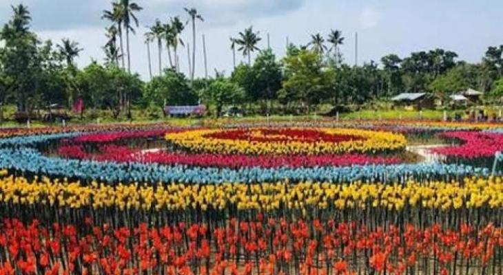 شاهدوا بالفيديو: مدينة فلبينية تحول المخلفات "لزهور تيوليب"