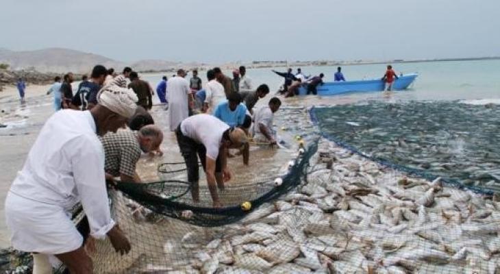 بالفيديو:  سهولة صيد الأسماك في "خليج عُمان"