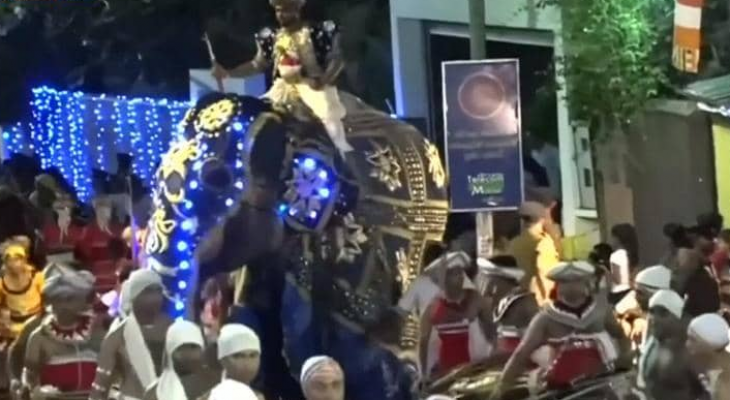بالفيديو: أفيال تثور وتدهس المارة  تحوّل مهرجان سريلانكا لمأساة