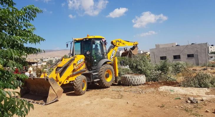 الاحتلال يقتلع عشرات أشجار الزيتون في قرية بردلة بالأغوار الشمالية.jpg