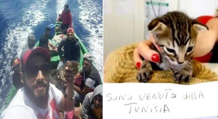 شاهدوا: ضجة بعد نجاح "قطة تونسية" بالهجرة إلى "إيطاليا" والسلطات تضعها في الحجر!
