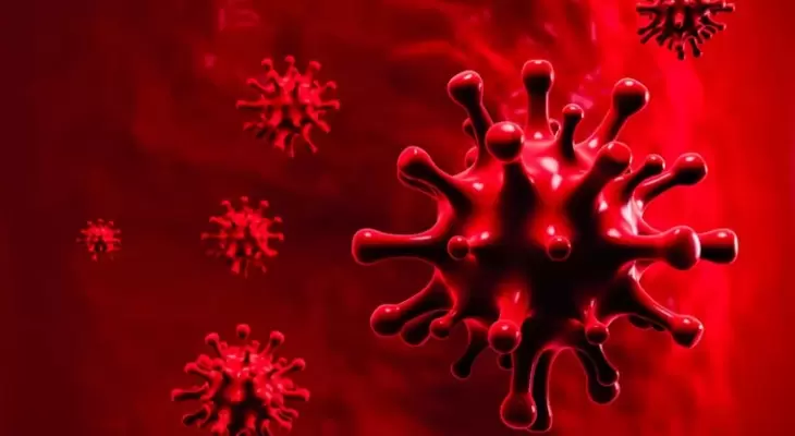 بالفيديو: من أين تأتي "الفيروسات" الجديدة مثل فيروس كورونا؟