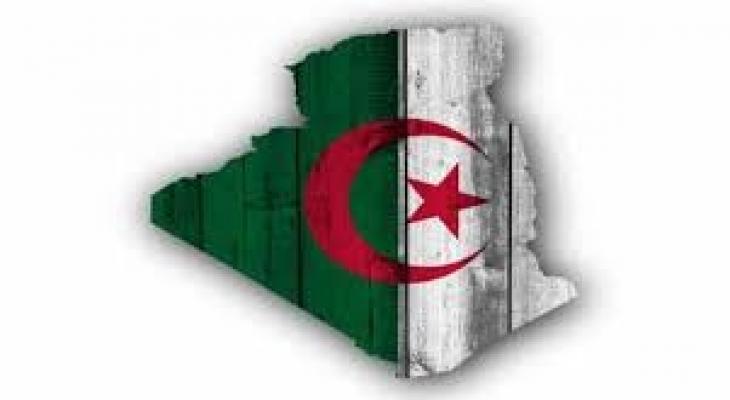 "نظام الضرائب".. خطة "جزائرية" لإصلاح