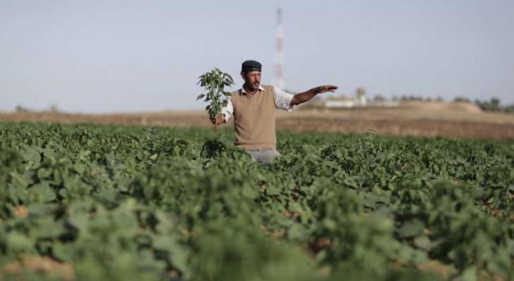 المزارعين في شمال قطاع غزة