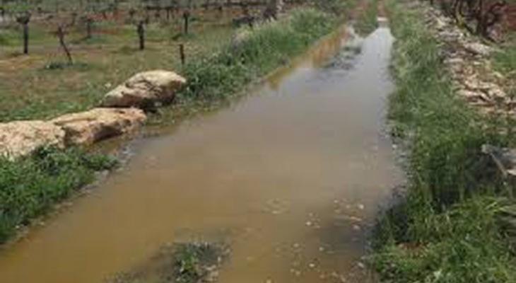 مستوطنون يغرقمون أراضي المواطنين بالمياه العادمة في نابلس