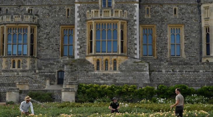 وثائقي يكشف عن نفق سري لهروب الملكة خارج قلعة وندسور مخبأ تحت السجاد
