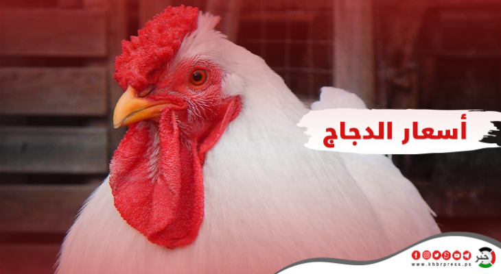 أسعار الدجاج واللحوم والبيض في قطاع غزة اليوم الجمعة 2 إبريل 2021
