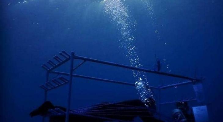 بالفيديو والصور:  الغواص "المصري" يقترب من دخول التاريخ "تحت الماء"
