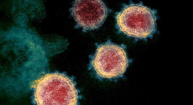 وزارة الصحة تُحذر من التحورات الجديدة لفيروس "كورونا"