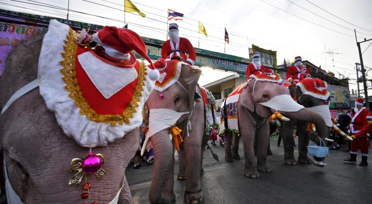 شاهدوا: على ظهر فيل "بابا نويل" يوزع الكمامات في تايلاند