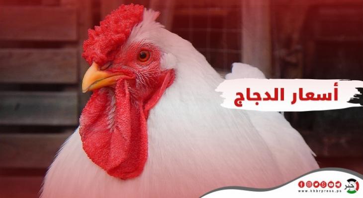 أسعار الدجاج والبيض واللحوم في غزة الجمعة 16 إبريل 2021