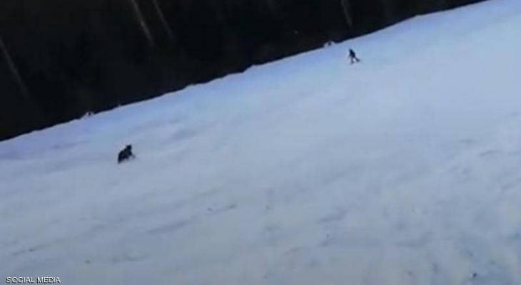 بالفيديو | وسط الثلوج ودب يطارده "فيديو الرعب" لمتزلج واجه الموت