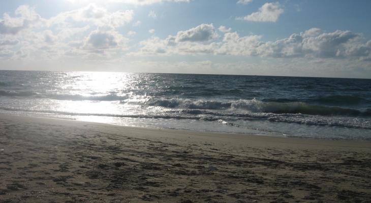 شاطئ بحر رفح.