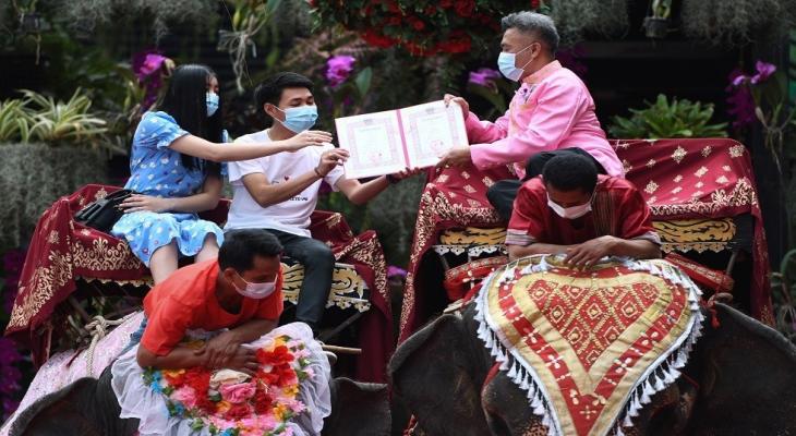 شاهدوا | زفاف جماعي على ظهور "الفيلة" في تايلاند بمناسبة عيد الحب