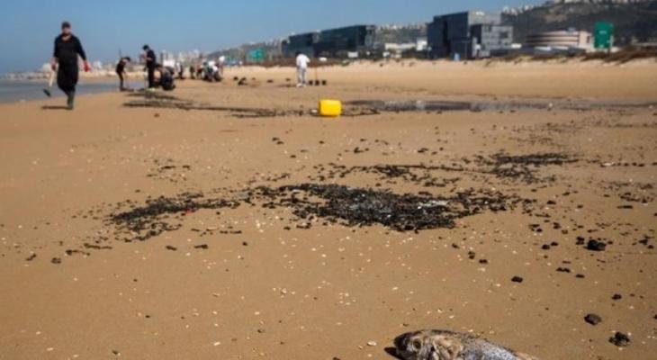 وزيرة "إسرائيلية" تُعقب على تلويث الشواطئ بمادة القطران
