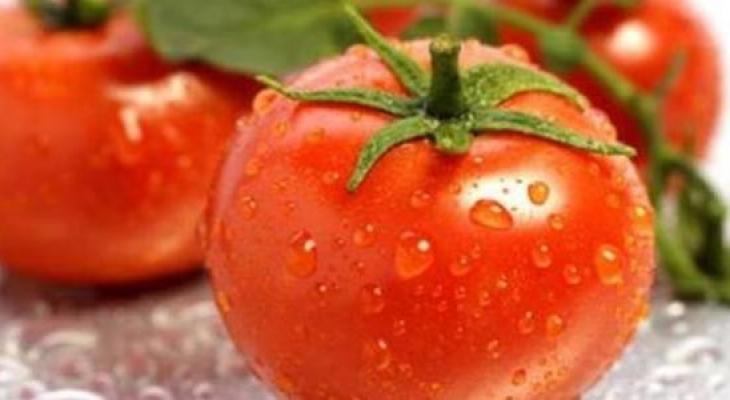 مصر | ما حقيقة التخلص من محصول "الطماطم"