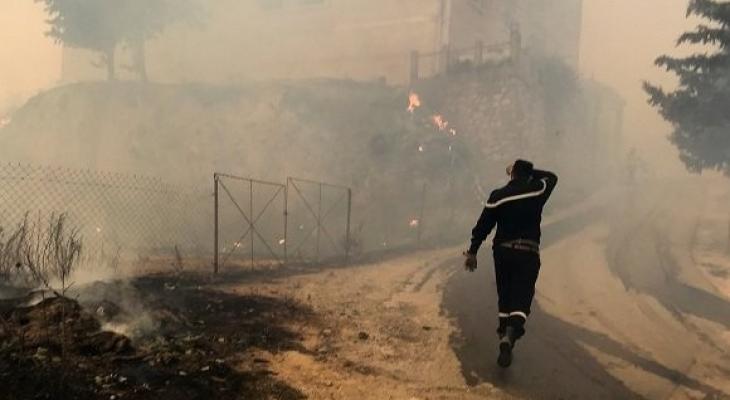 الجزائر تتهم مجموعتين بإشعال حرائق الغابات المدمرة