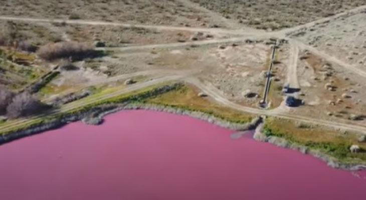 بالفيديو | البحيرة "الوردية" تثير القلق في الأرجنتين