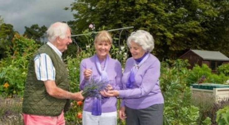 طبيب بريطاني يعالج الوحدة بزراعة زهور الخزامى واهدائها لجيرانه