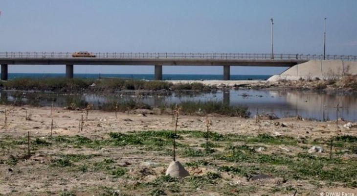 سرحان: نعمل على توفير مبالغ لشبكة الإضاءة في منطقة جسر وادي غزة