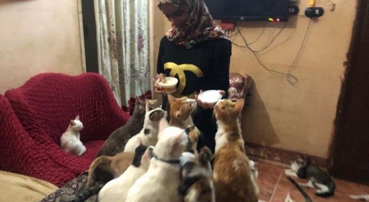 "فتاة" تتبنى أكثر من 150 قطة: أرفض اتجوز حد ما يحبهمش