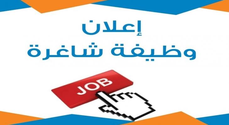 الإعلان عن وظيفة شاغرة في غزّة براتب 1259 دولار شهريًا