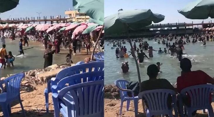 بالفيديو" شجار عنيف داخل شاطئ "نادي المهندسين" في مصر