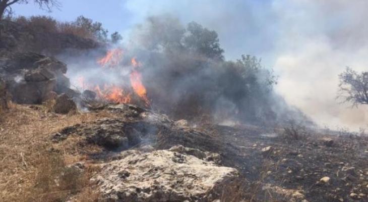 مستوطنون يضرمون النار بأراضي حوسان في بيت لحم