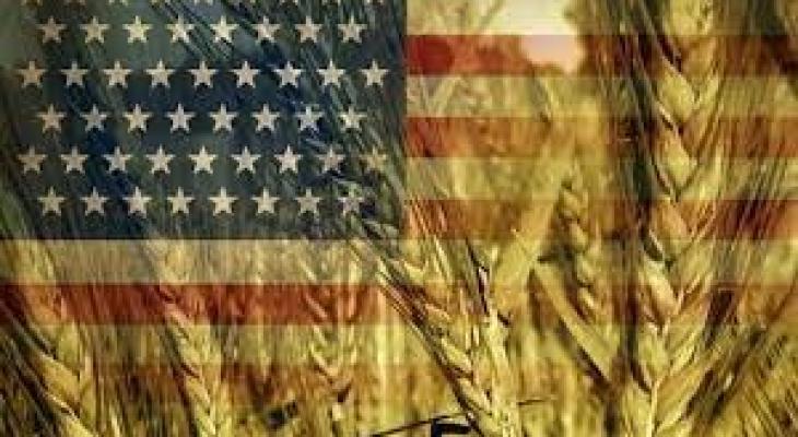 أمريكا: أسعار القمح ترتفع لأعلى مستوى في أكثر من 8 أعوام