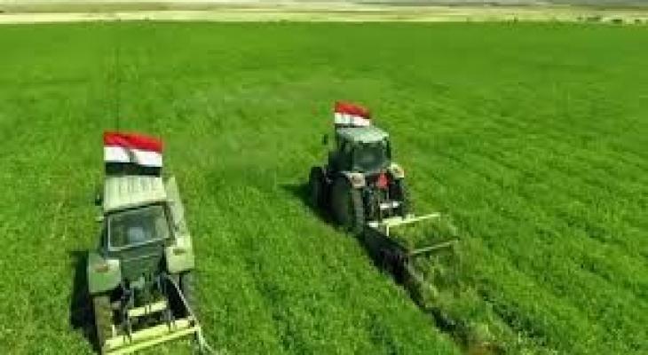 مصر: برنامج تأميني ومعاش للمزارعين .. فما القصة
