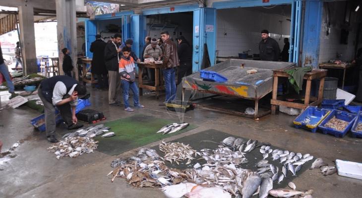 حسبة السمك في غزة